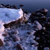 Icy Seashore