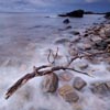 Driftwood at Seashore