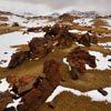 Lava Field in Snow